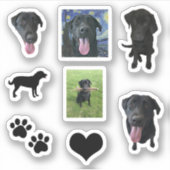 Monroe the Labrador Sticker (Voorkant)