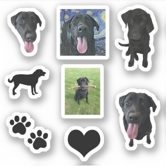 Monroe the Labrador Sticker (Voorkant)