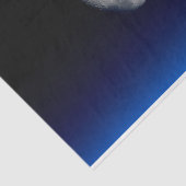 Monset, internationaal ruimtestation, ontkoppeling tissuepapier (Detail)