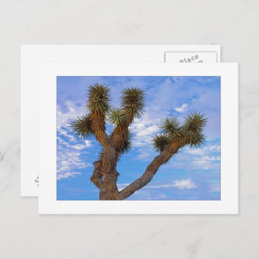 "Monsoon Morning " Briefkaart (Voorkant / Achterkant)