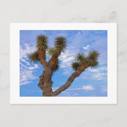 "Monsoon Morning " Briefkaart (Voorkant)