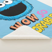 Monster aan het einde van dit artikel | Koekjesmon Sherpa Deken (3/4)