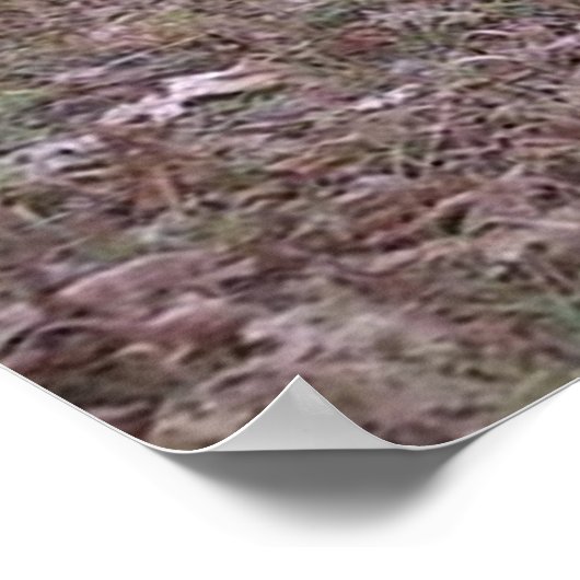 Monster Buck Poster (Hoek)