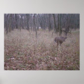 Monster Buck Poster (Voorkant)