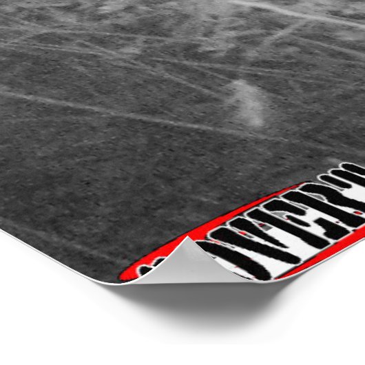 Monster Buck Trail Camera Poster (Hoek)