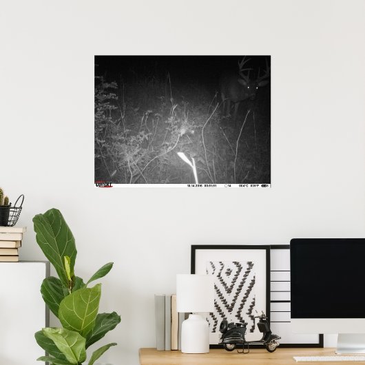 Monster Buck Trail Camera Poster (Thuiskantoor)