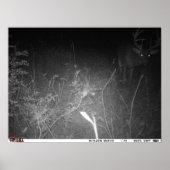 Monster Buck Trail Camera Poster (Voorkant)