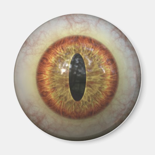 Monster Eye Magneet (Voorkant)
