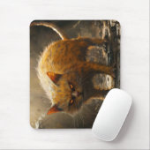 Monster kat  muismat (Met muis)