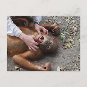 Monster Movie Alien Attack Briefkaart