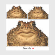 Monster Toad Stickers