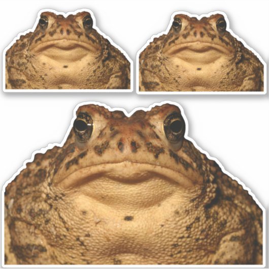 Monster Toad Stickers (Voorkant)