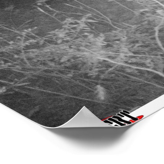 Monster Trail Camera Buck Poster (Hoek)