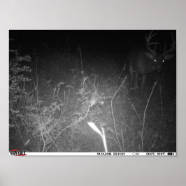 Monster Trail Camera Buck Poster