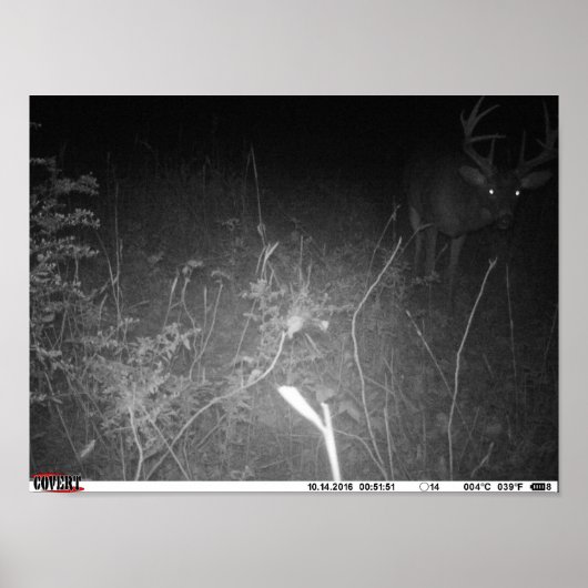 Monster Trail Camera Buck Poster (Voorkant)