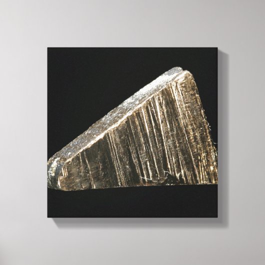 monster van verarmd uraan canvas afdruk (Voorkant)