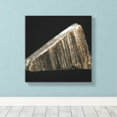 monster van verarmd uraan canvas afdruk (Insitu (Houten vloer))