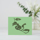 Monstera Adanosii Cheese Plant Illustratie Groen Briefkaart (Staand voorkant)