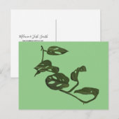 Monstera Adanosii Cheese Plant Illustratie Groen Briefkaart (Voorkant / Achterkant)