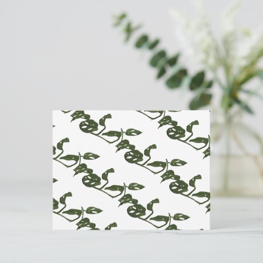 Monstera Adanosii Cheese Plant Pattern Green Briefkaart (Staand voorkant)