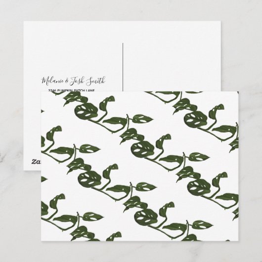 Monstera Adanosii Cheese Plant Pattern Green Briefkaart (Voorkant / Achterkant)