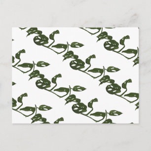 Monstera Adanosii Cheese Plant Pattern Green Briefkaart