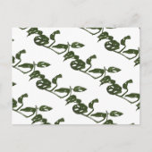 Monstera Adanosii Cheese Plant Pattern Green Briefkaart (Voorkant)