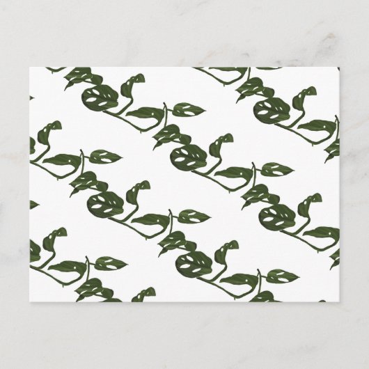 Monstera Adanosii Kaas Plant Patroon Groen Briefkaart (Voorkant)