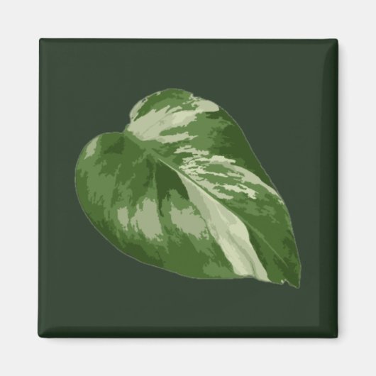 Monstera Albo-blad — Zeldzame variatie Magneet (Voorkant)