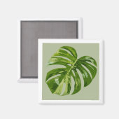 Monstera Albo Hero Leaf Magneet — Zeldzame Variati (Voorkant / Achterkant)