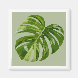Monstera Albo Hero Leaf Magneet — Zeldzame Variati