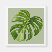 Monstera Albo Hero Leaf Magnet — Rare Variegation  (Voorkant)