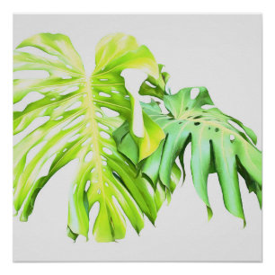 Monstera Artistic Leaf Study Perfect Poster
