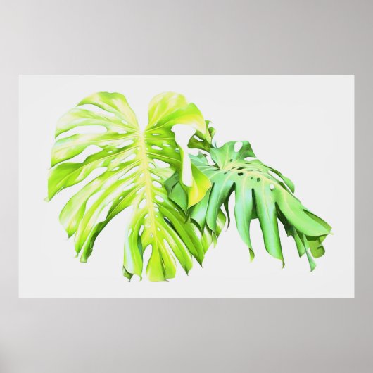 Monstera Artistic Leaf Study Poster (Voorkant)