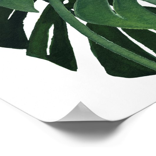 Monstera blad Closeup Poster (Hoek)