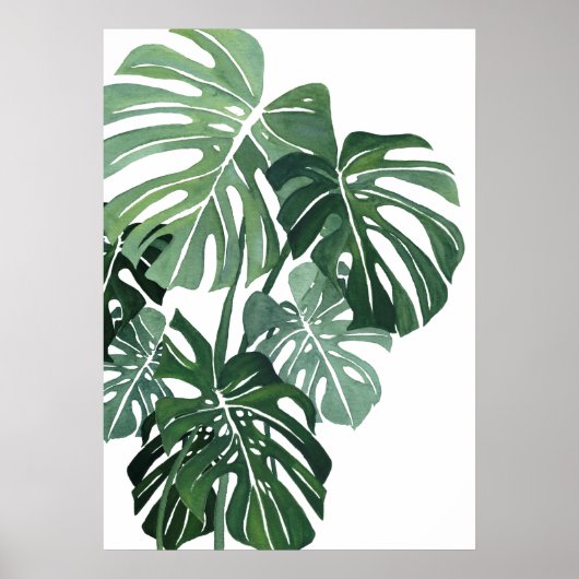 Monstera blad Closeup Poster (Voorkant)