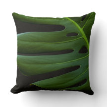 Monstera-blad van dichtbij