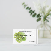 Monstera bladeren , monstera visitekaartje (Staand voorkant)