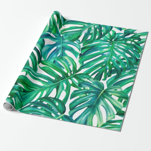 Monstera bladeren op geïsoleerde achtergrond, wate cadeaupapier (Uitgerold)
