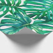 Monstera bladeren op geïsoleerde achtergrond, wate cadeaupapier (Hoek)