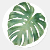 Monstera-bladeren Ronde Sticker (Voorkant)