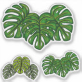 Monstera bladeren sticker (Voorkant)