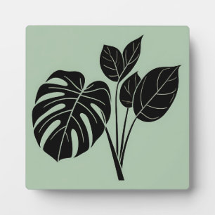 Monstera Bladeren Tropisch Minimalistisch Salie Fotoplaat