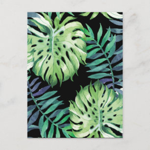Monstera Deliciosa Hawaiian Island Tropics Leaves Briefkaart