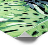 Monstera Deliciosa Hawaiian Island Tropics Leaves Poster (Hoek)