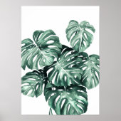 Monstera Deliciosa Leaves Poster (Voorkant)