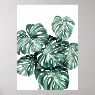 Monstera Deliciosa Leaves Poster