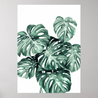 Monstera Deliciosa Leaves Poster