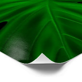 monstera deliciosa wall art perfect poster (Hoek)