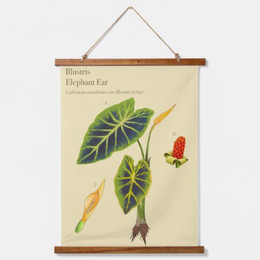 Monstera Elephant Ear Botanical Wall Tapestry Hangend Wandkleed (Voorkant)